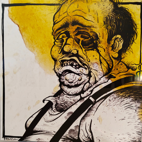 Skinhead - Everything was Beautiful and Nothing Hurt, LP lim. 700 yellow/black marble US import