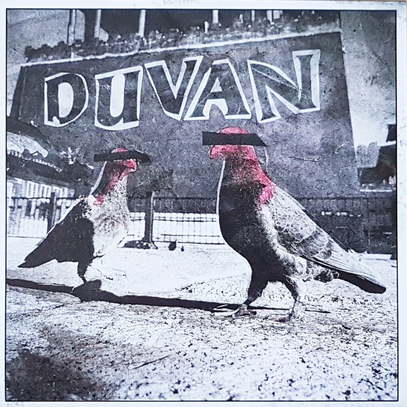 Strikt - Duvan, 7" schwarz