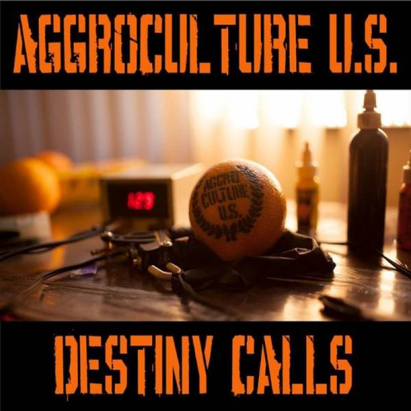 Aggroculture U.S. - Destiny Calls, 7'' lim. verschiedene Farben