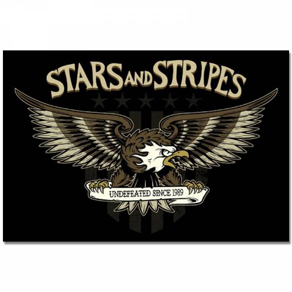 Stars And Stripes - Eagle, Aufkleber